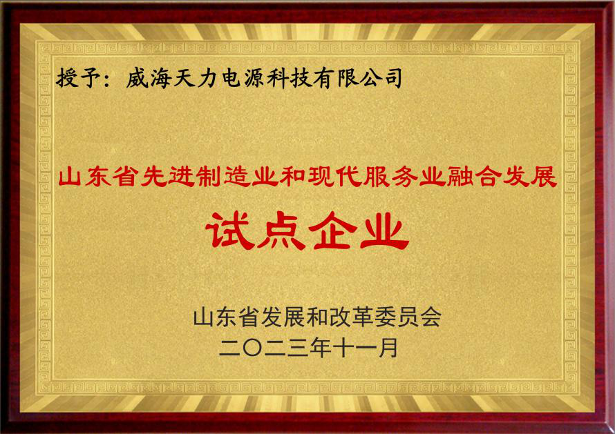山東省先進制造業(yè)和現(xiàn)代服務業(yè)融合發(fā)展試點企業(yè)